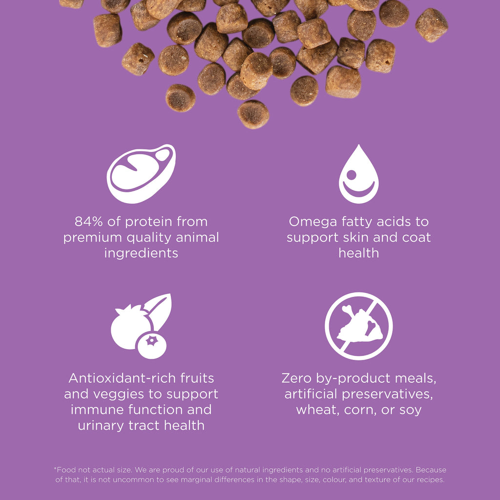 Go! Solutions Carnivore Grain Free Chicken, Turkey + Duck Recipe Dry Cat Food