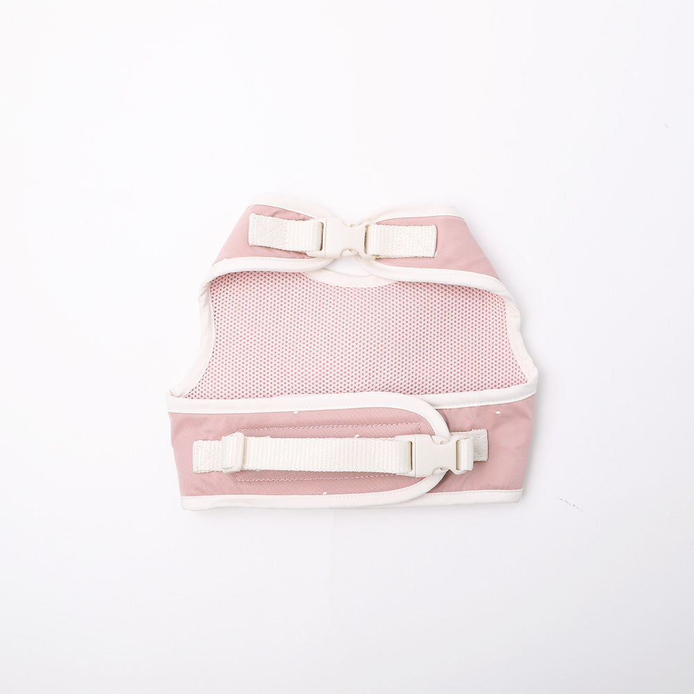 Dot Ribbon Motif Harness + Lead SET
