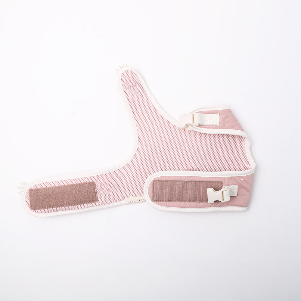 Dot Ribbon Motif Harness + Lead SET