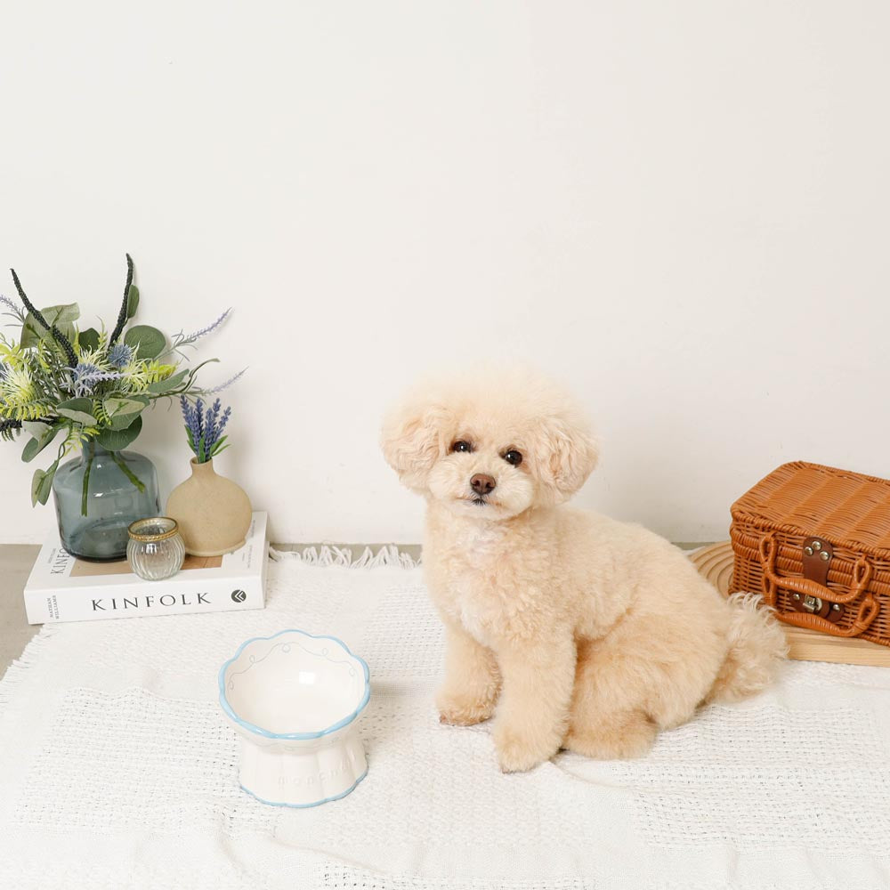 Lace Pattern Food Bowl
