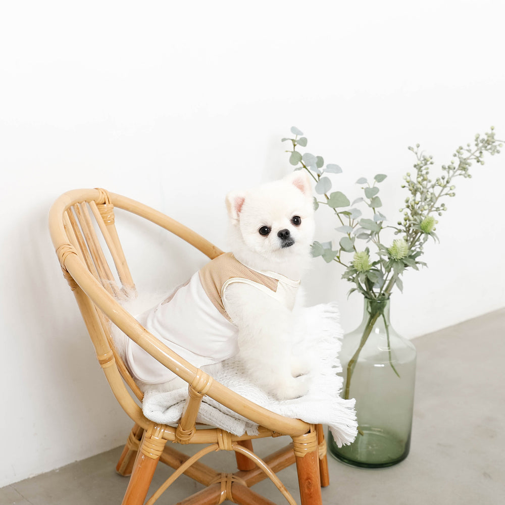 Cool Bicolor Mesh Bear Sleeveless Tops