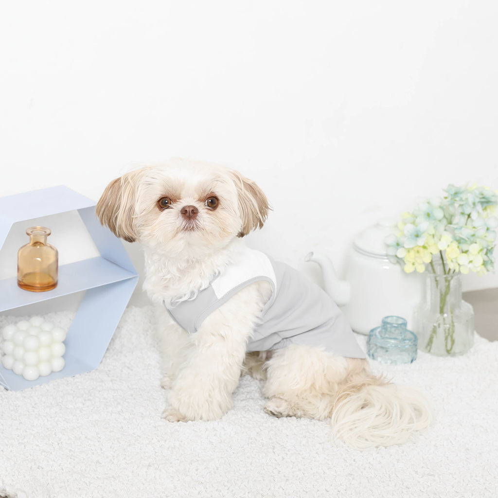 Cool Bicolor Mesh Bear Sleeveless Tops