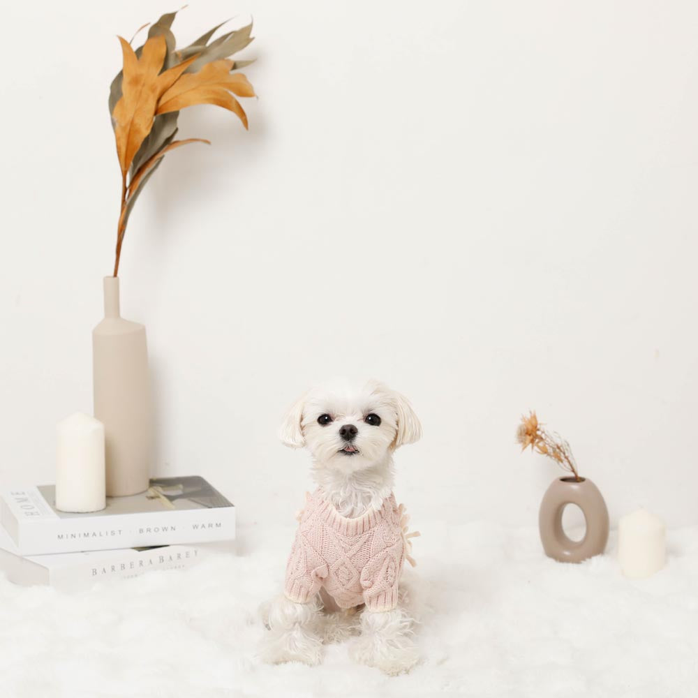 Ribbon Motif Bicolor Knit Cardigan
