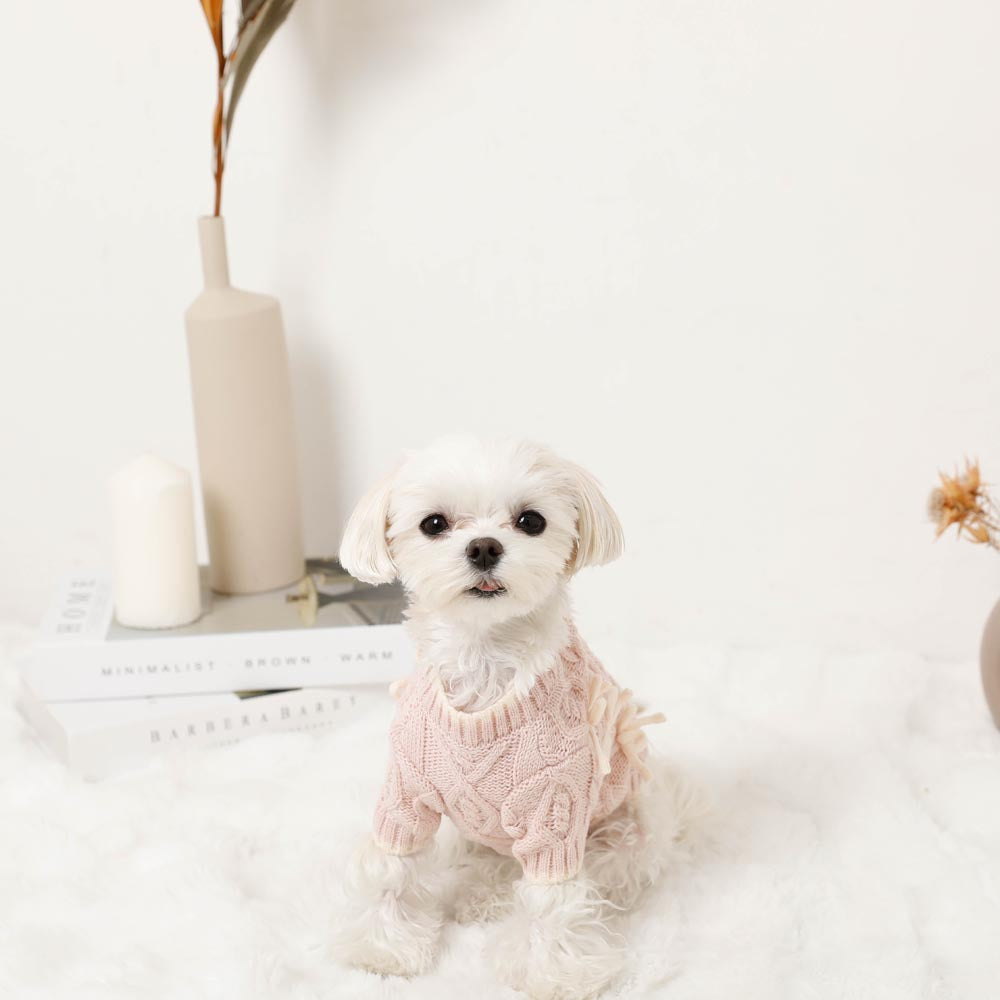 Ribbon Motif Bicolor Knit Cardigan