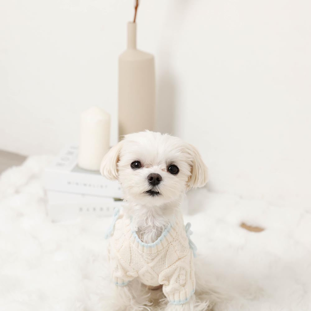Ribbon Motif Bicolor Knit Cardigan