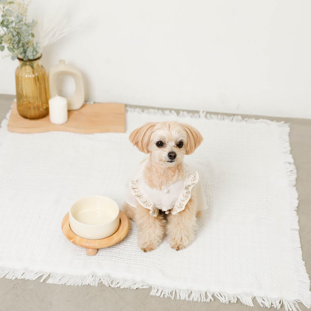 Wood Ball Base Single Food Bowl
