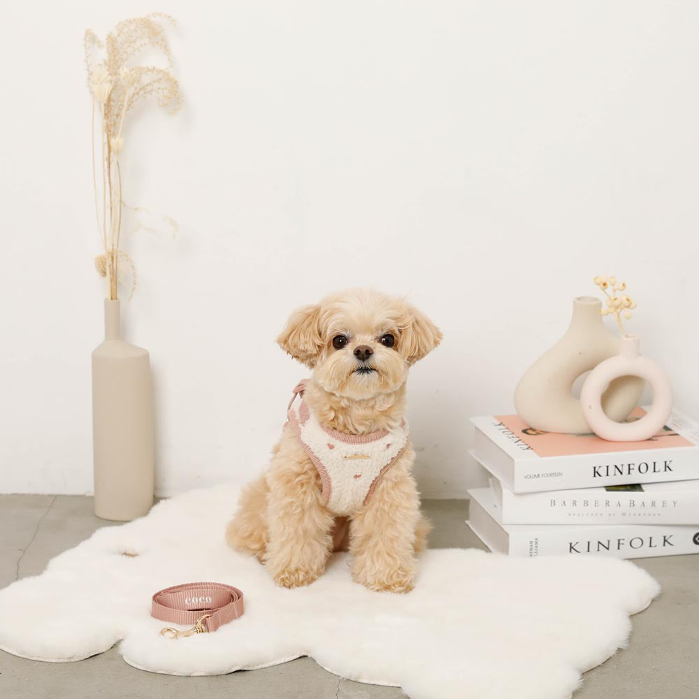 Boa Heart Embroidery Harness + Lead Set