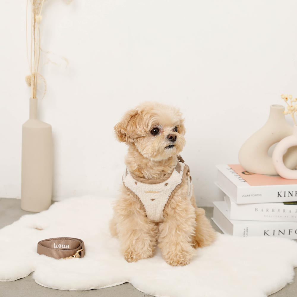 Boa Heart Embroidery Harness + Lead Set