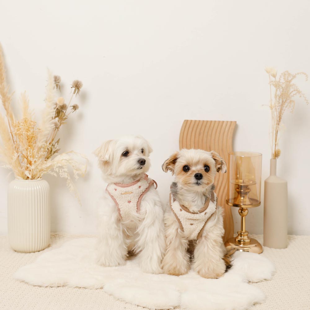 Boa Heart Embroidery Harness + Lead Set