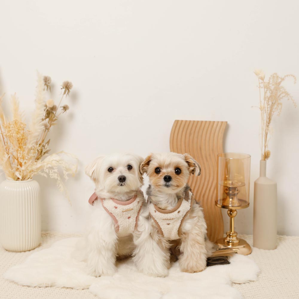 Boa Heart Embroidery Harness + Lead Set