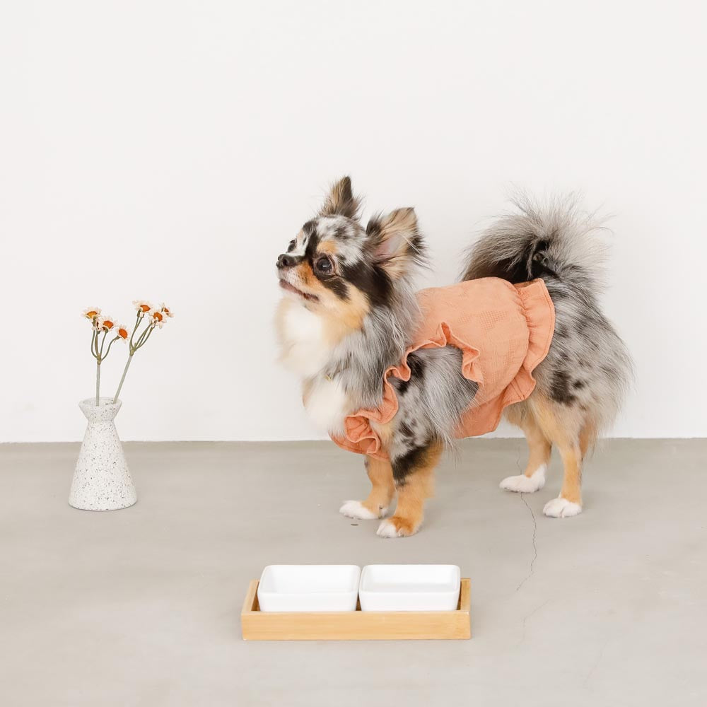 Square Double Food Bowl