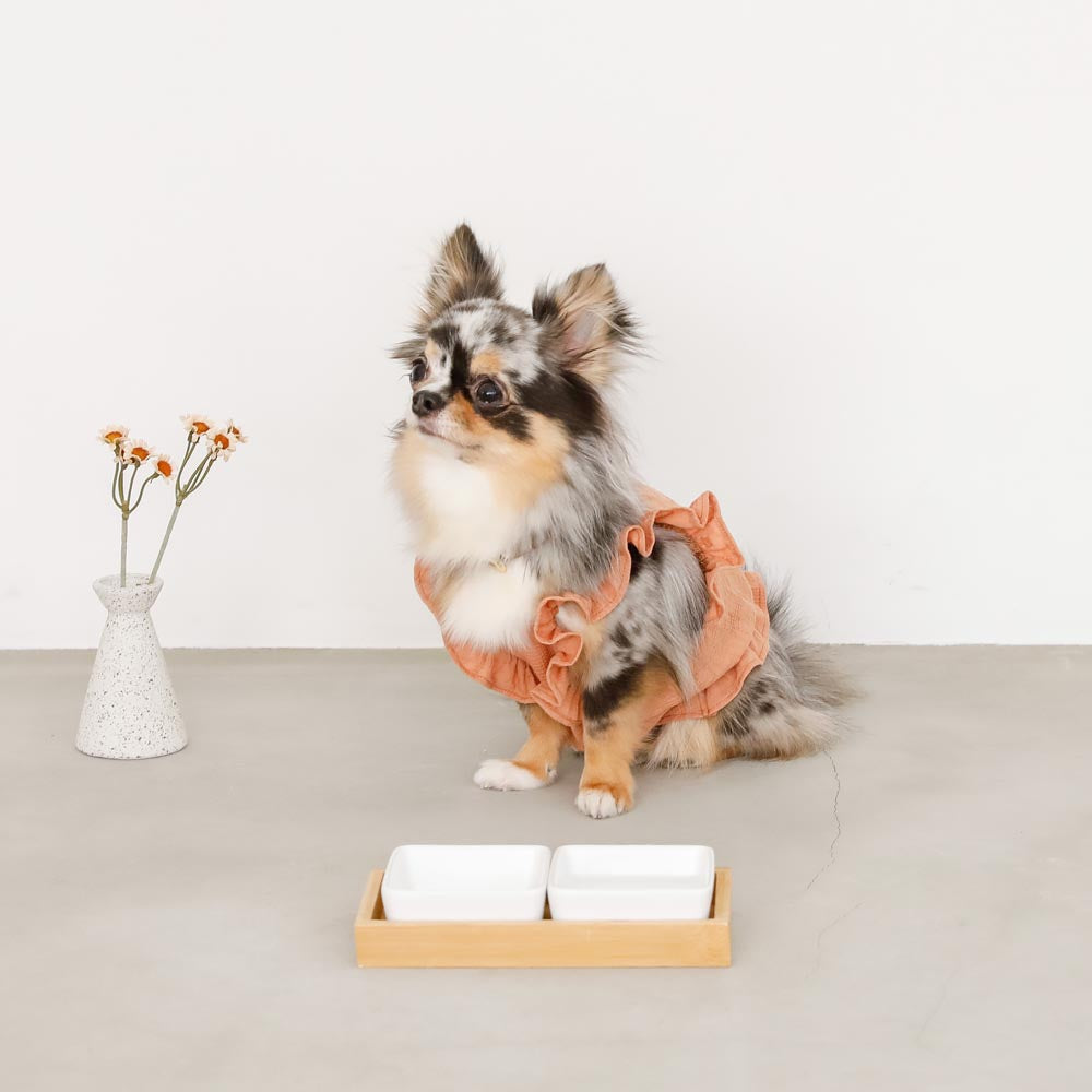Square Double Food Bowl
