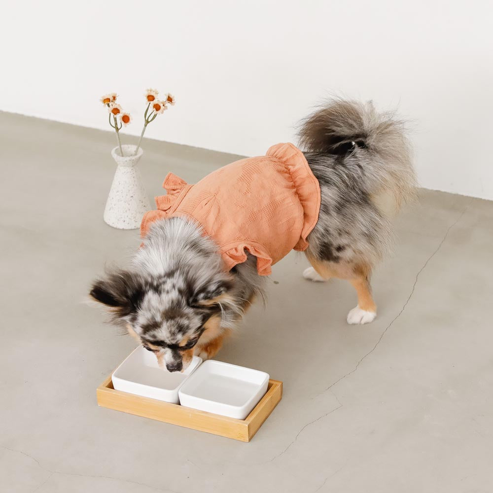 Square Double Food Bowl