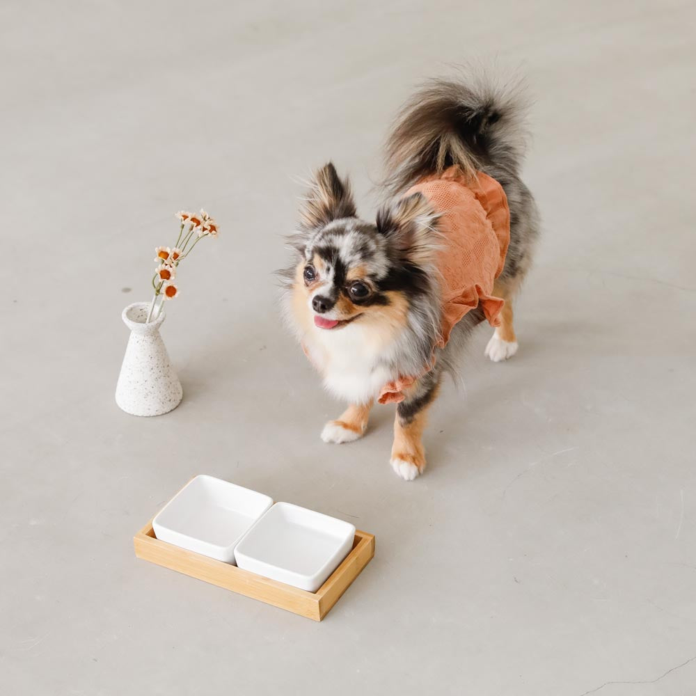 Square Double Food Bowl